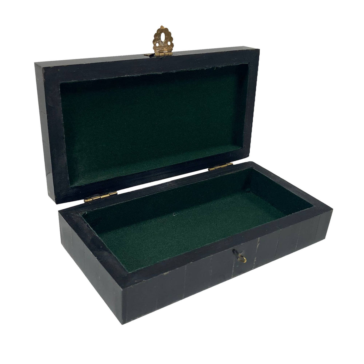 Fish Horn Box Engraved, 6-1/4”