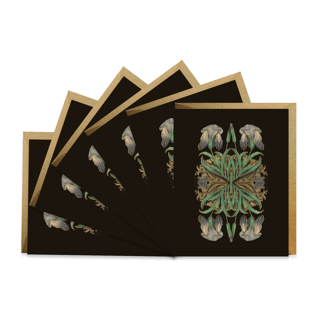 Iris Illumination - Boxed Set of 6 - Maison and Mer
