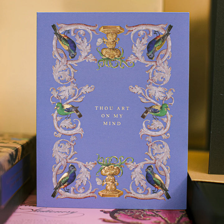Parrot Flourish Illumination Card Set – Boxed Set of 6