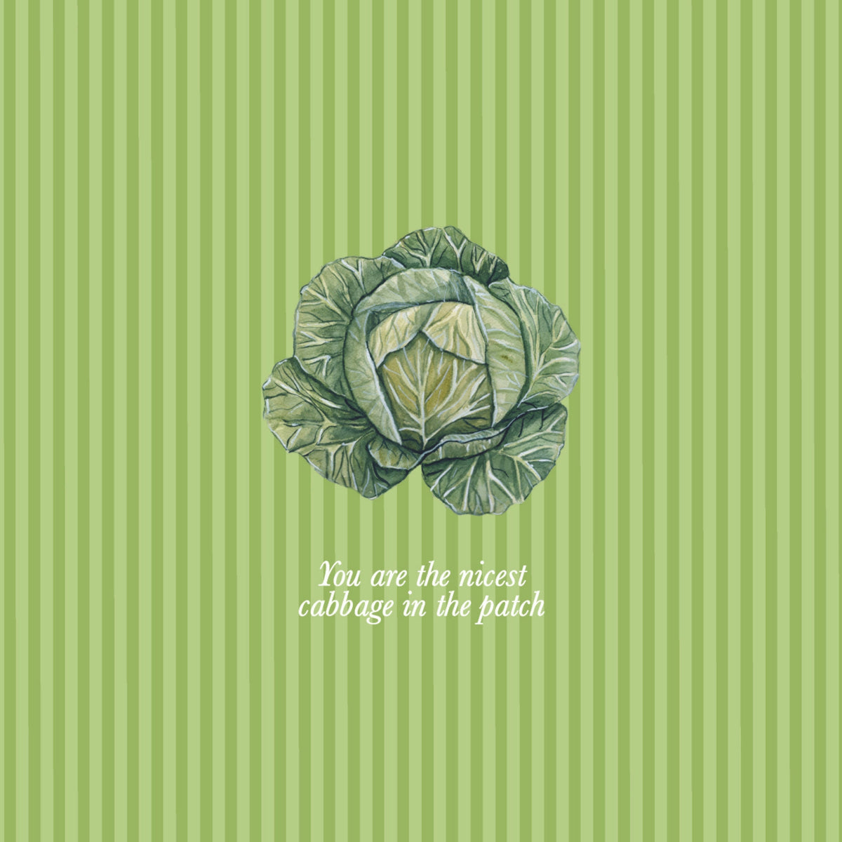 "You're the nicest cabbage in the patch" Greeting Card