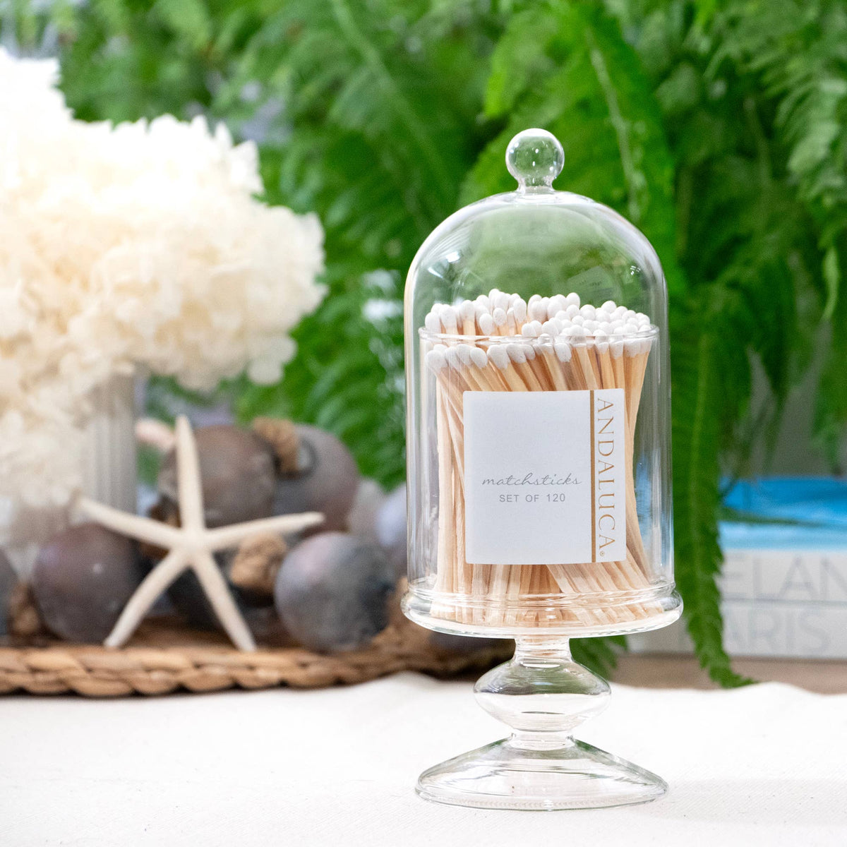 Tall Glass Match Jar with Lid & 120 Wooden White Matches