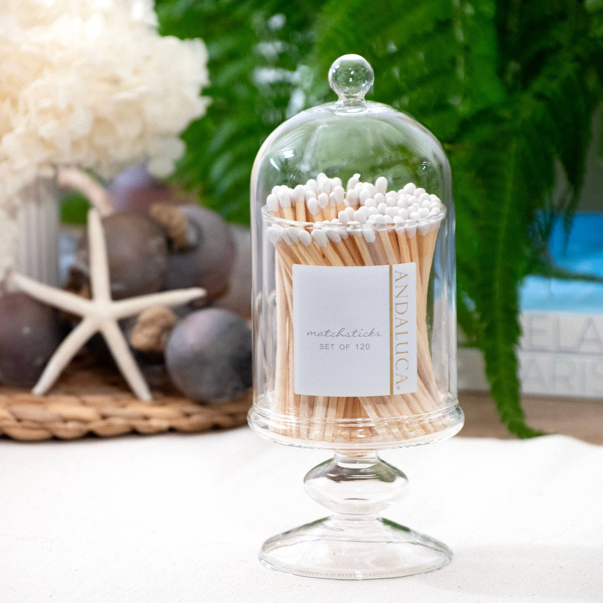 Tall Glass Match Jar with Lid & 120 Wooden White Matches