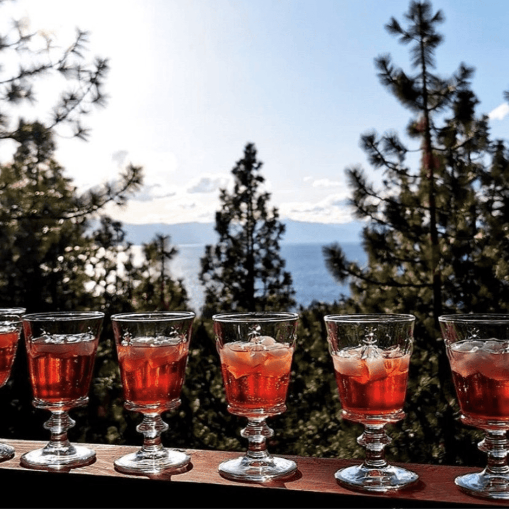 Bee Wine Glass Set - 6 - Maison and Mer