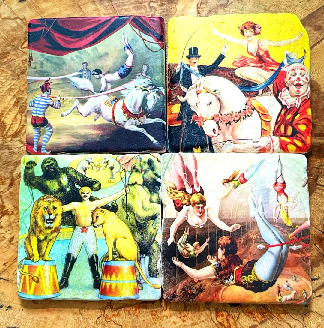 Circus - Maison and Mer