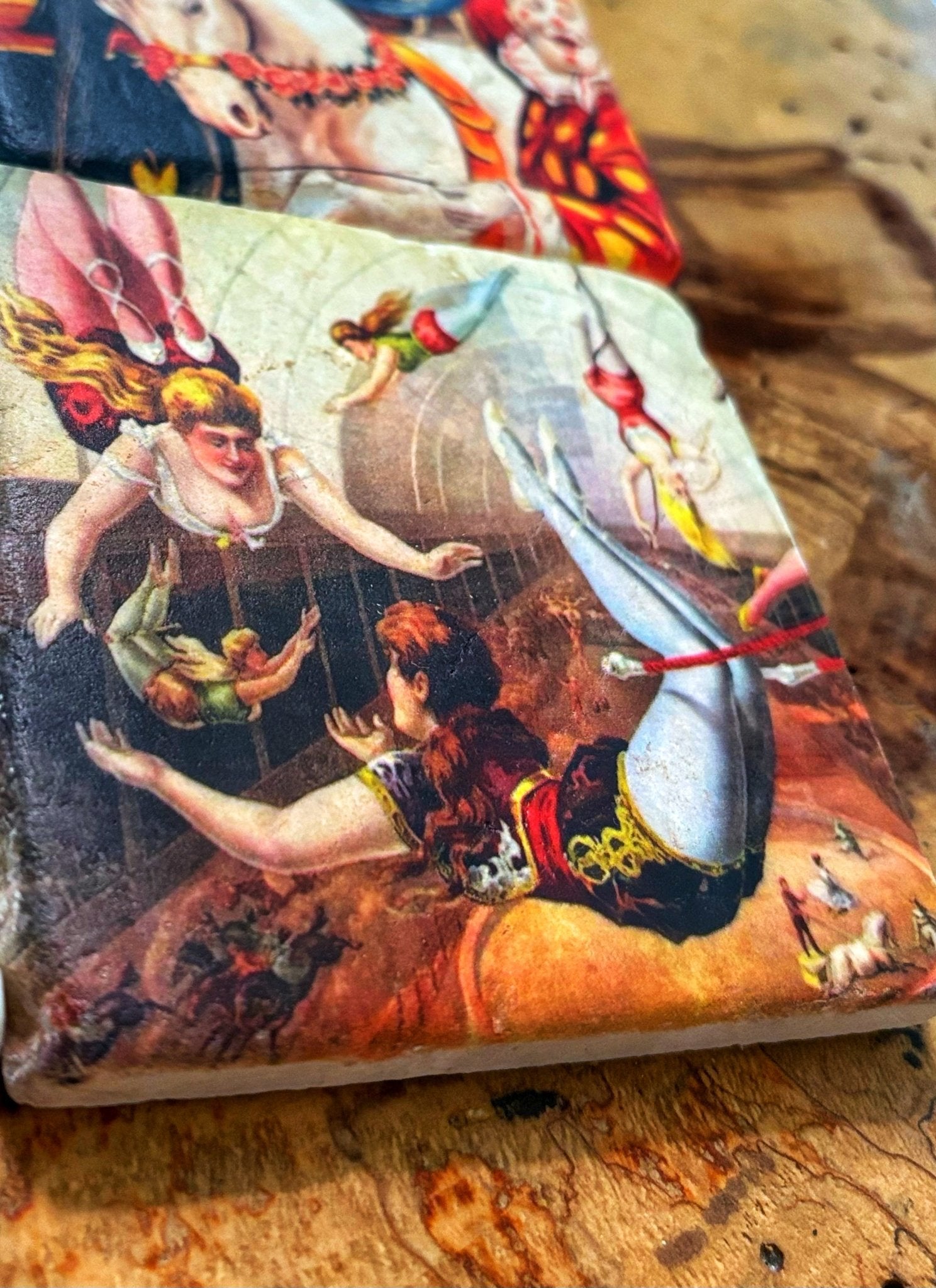 Circus - Maison and Mer