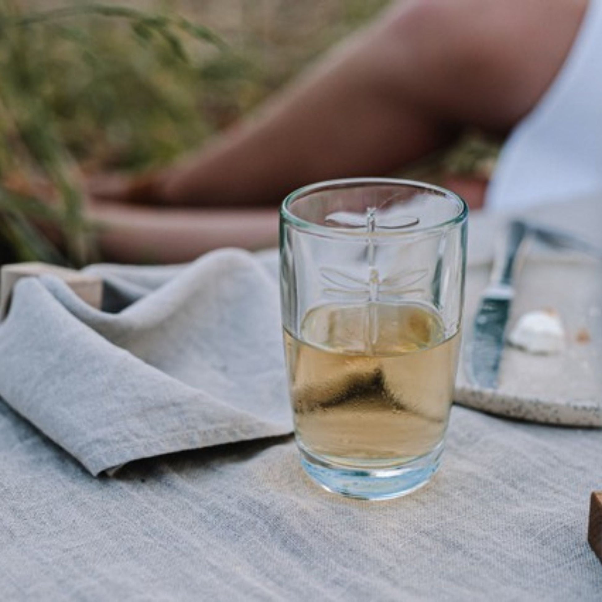 Dragonfly Juice Glass Set - 6 - Maison and Mer