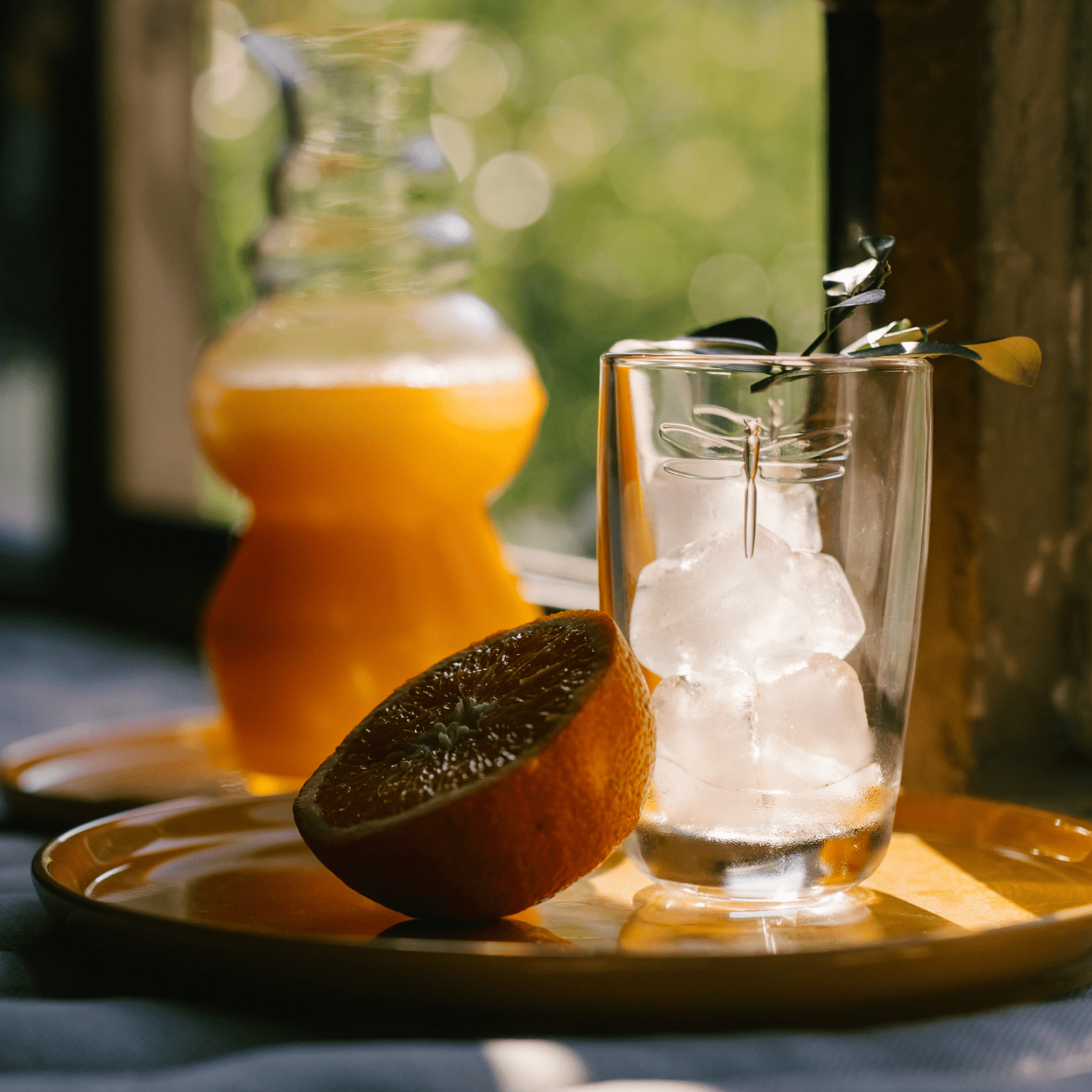 Dragonfly Juice Glass Set - 6 - Maison and Mer