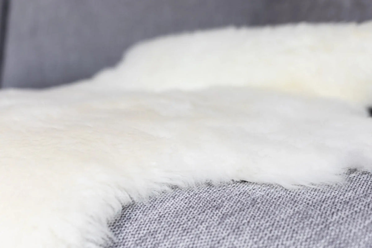 Texel Sheepskin Natural White Dutch Wool - 110cm