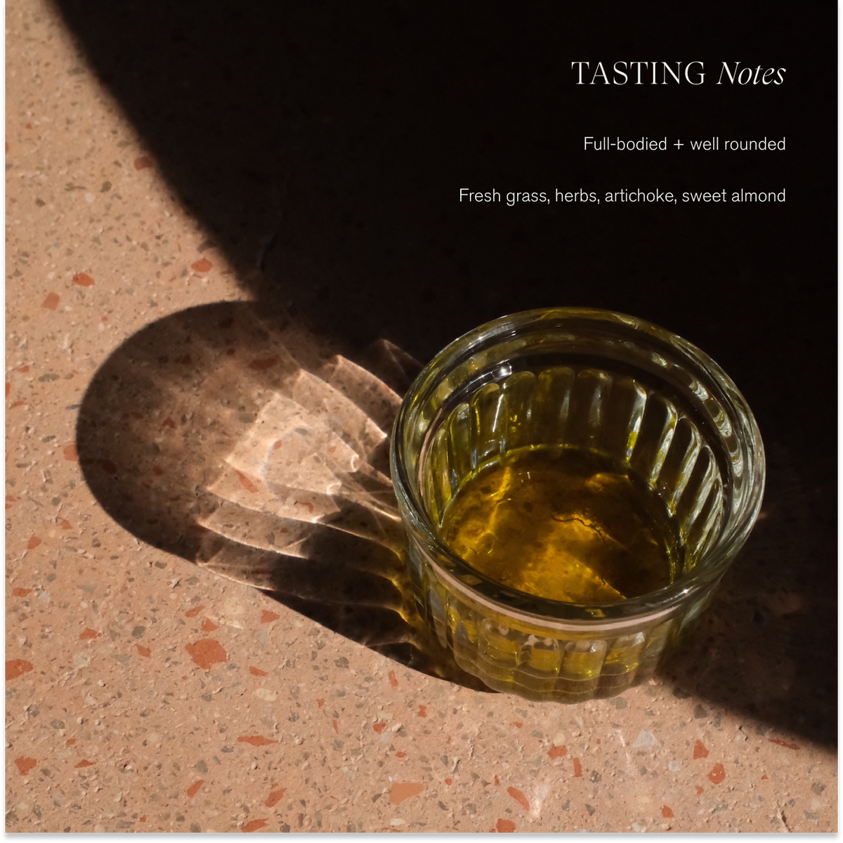 Organic Extra Virgin Olive Oil | Single-Harvest / Case
