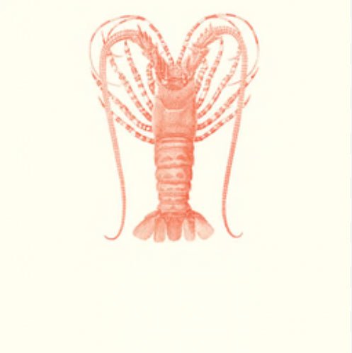 Lobster Long Pad - Maison and Mer
