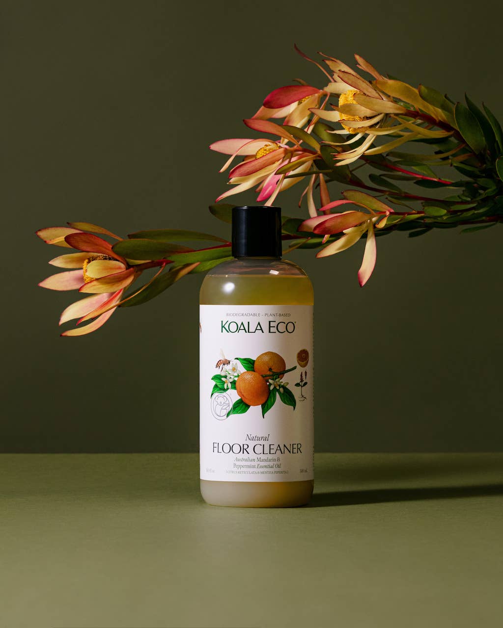 Natural Floor Cleaner - Mandarin & Peppermint 16 oz - Maison and Mer