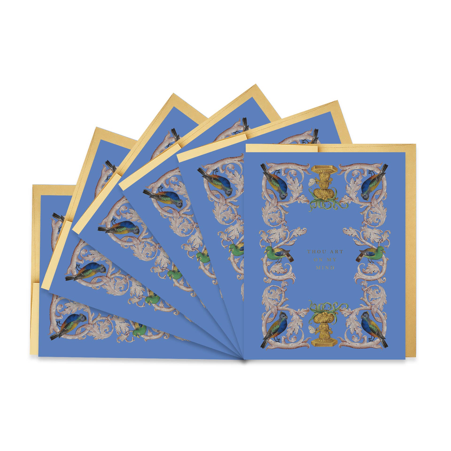 Parrot Flourish Illumination Card Set – Boxed Set of 6 - Maison and Mer